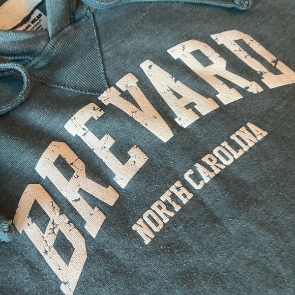 #299 BREVARD NORTH CAROLINA (VINTAGE WEAR) HOODIE - Picture 7 of 16